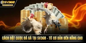 Cách đặt cược SV368