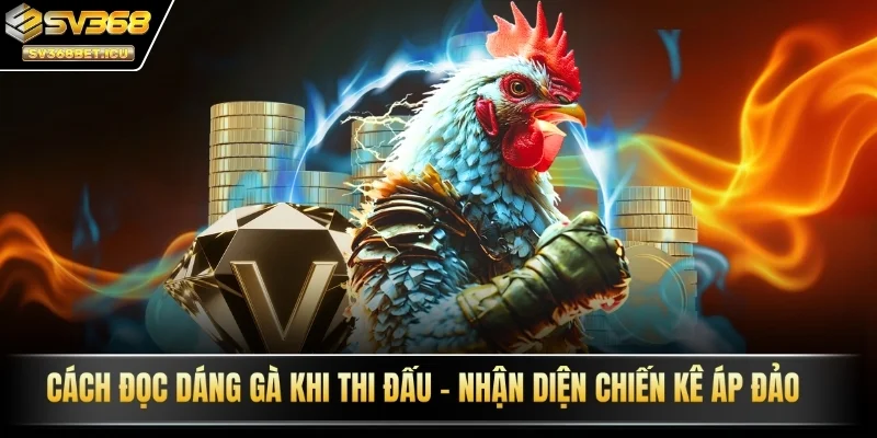 cách đọc dáng gà khi thi đấu