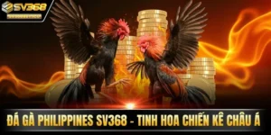 Đá gà Philippines SV368