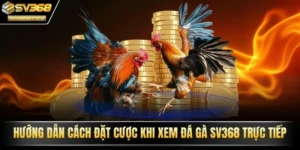 đặt cược khi xem đá gà SV368