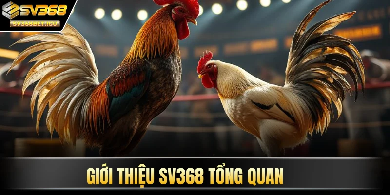 Giới thiệu SV368 tổng quan