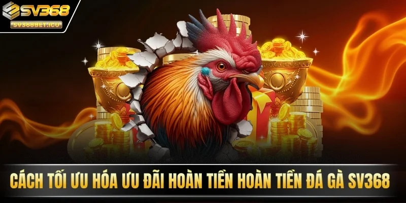 Cách tối ưu hóa ưu đãi hoàn tiền hoàn tiền đá gà SV368