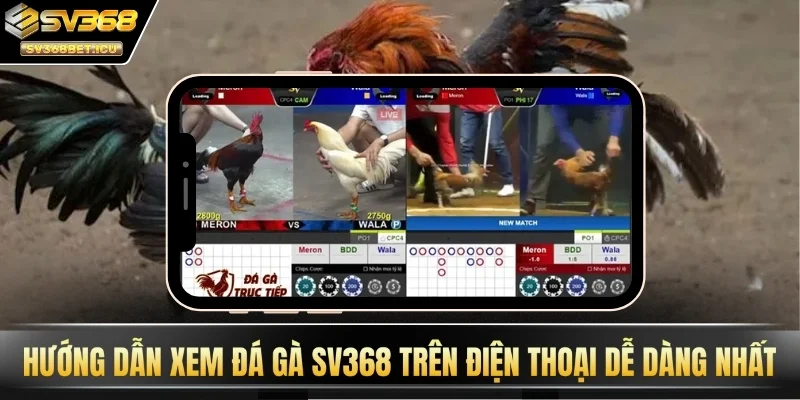 Hướng dẫn xem đá gà SV368 trên điện thoại dễ dàng nhất