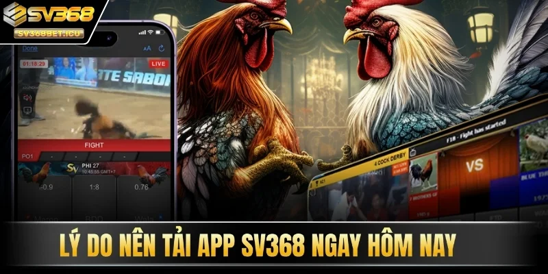 Lý do nên tải app SV368 ngay hôm nay