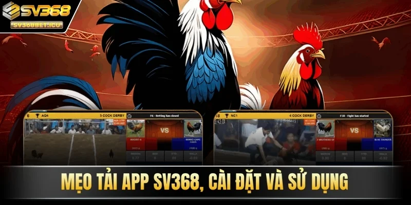 Mẹo tải app SV368, cài đặt và sử dụng