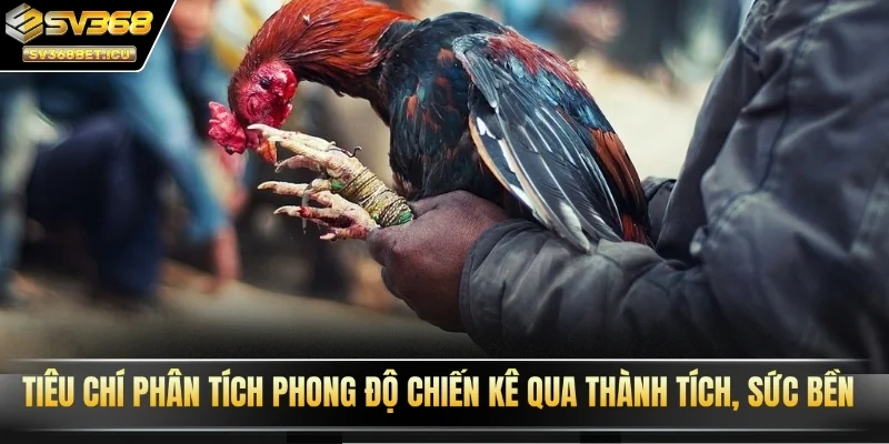 Tiêu chí phân tích phong độ chiến kê SV368 qua thành tích, sức bền