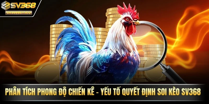 phân tích phong độ chiến kê