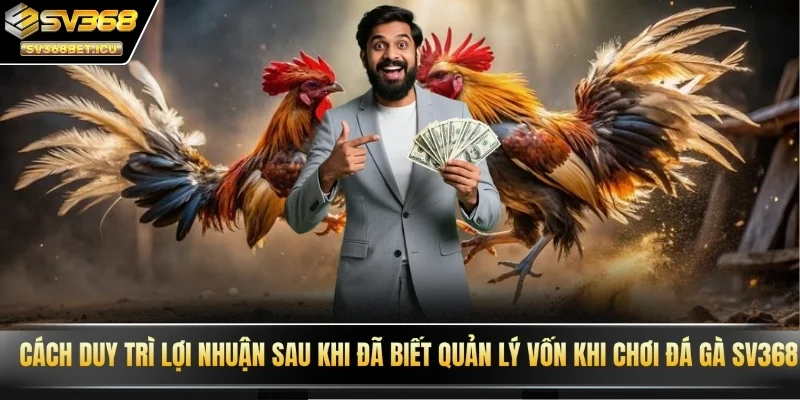 Cách duy trì lợi nhuận sau khi đã biết quản lý vốn khi chơi đá gà SV368
