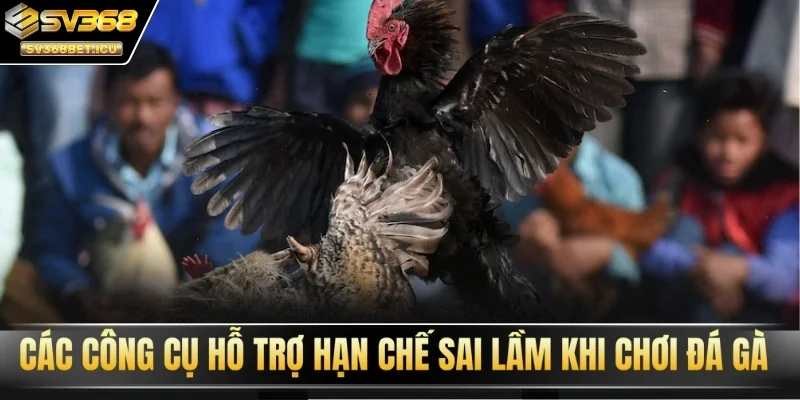 Các công cụ hỗ trợ hạn chế sai lầm khi chơi đá gà