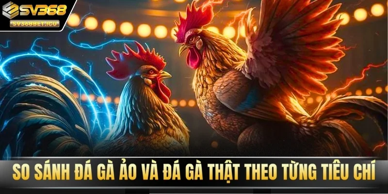 SV368 so sánh đá gà ảo và đá gà thật theo từng tiêu chí
