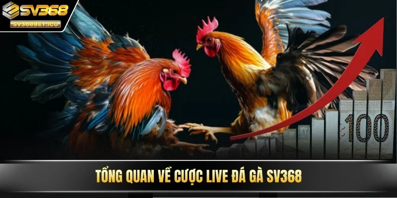 Tổng quan về cược live đá gà