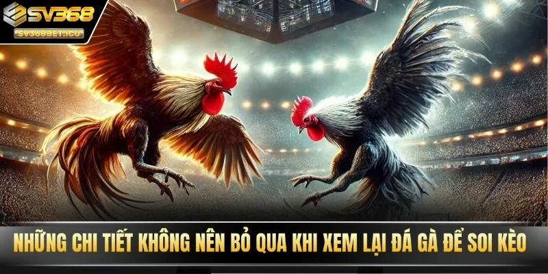Những chi tiết không nên bỏ qua khi xem lại đá gà để soi kèo